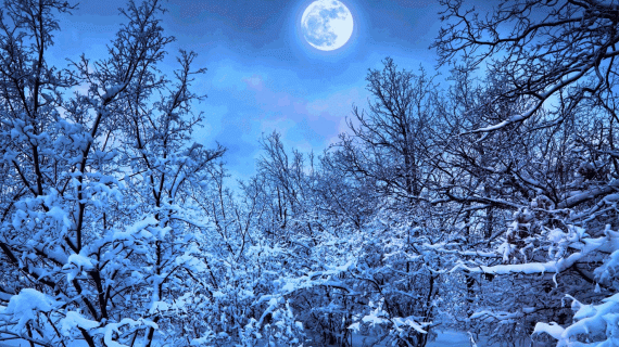 Winter’s Most common Diseases & prevention methods